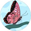 İlayda Cankurtaran profile picture